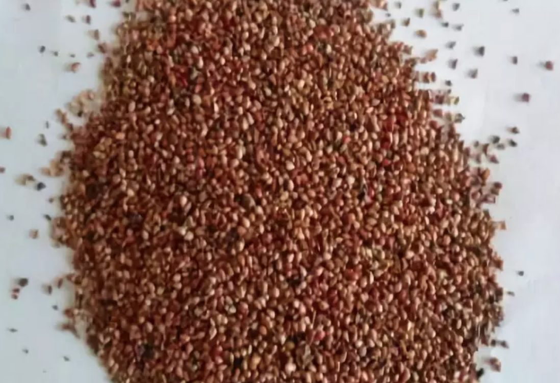 Accelerating Seed Germination.png