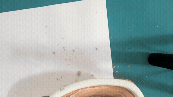Adobe Express - Untitled 2026-07-20 23.07.57.gif