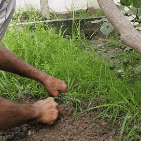 Adobe Express - Untitled 2026-08-03 21.55.24.gif