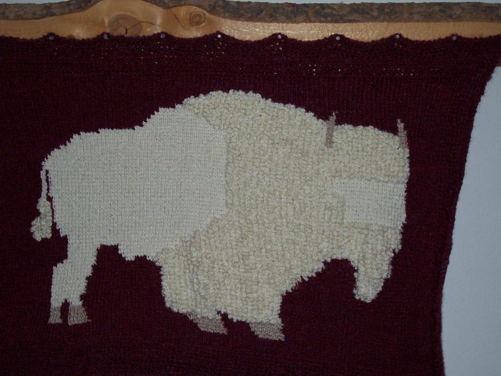 Albino Buffalo-1.jpg