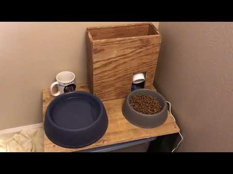 Alexa Controlled Dog Feeder Test 2