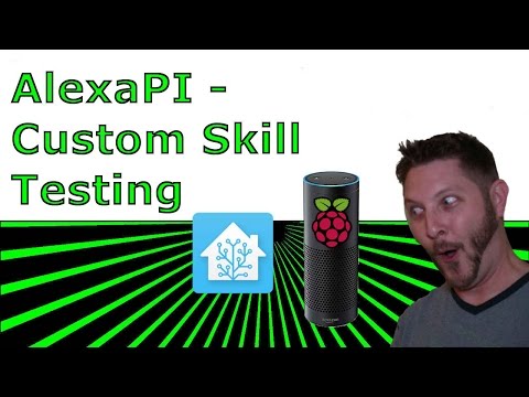 AlexaPi - Custom Skill Testing