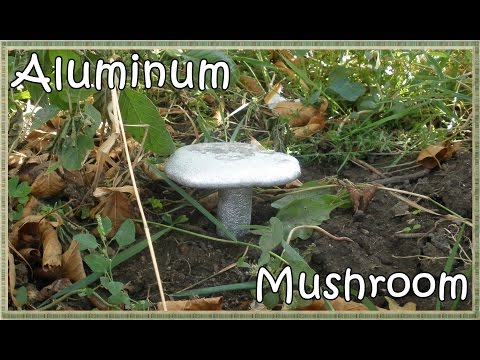 Aluminum mushroom in my garden :), casting aluminum