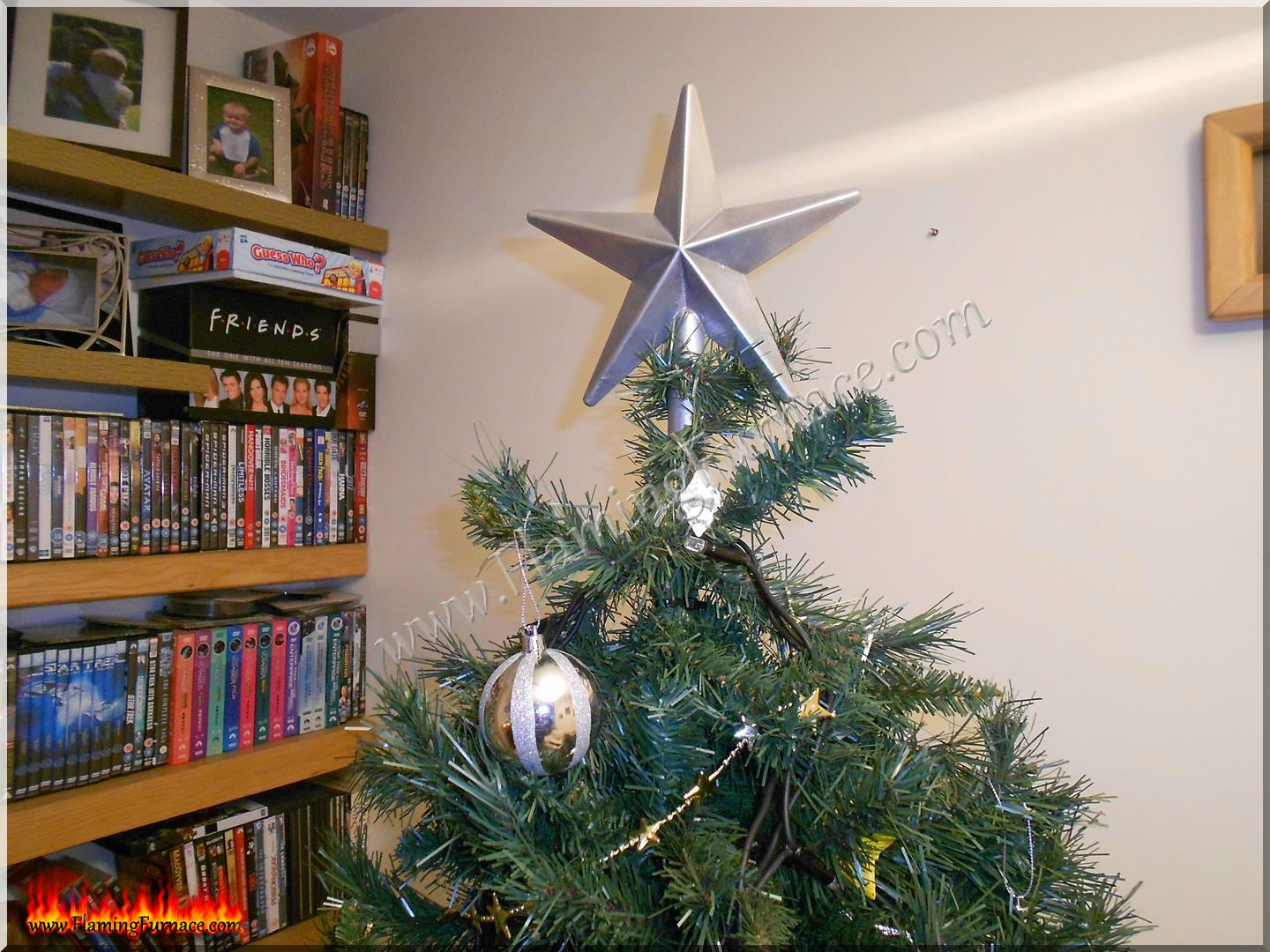 Aluminum star on tree.JPG