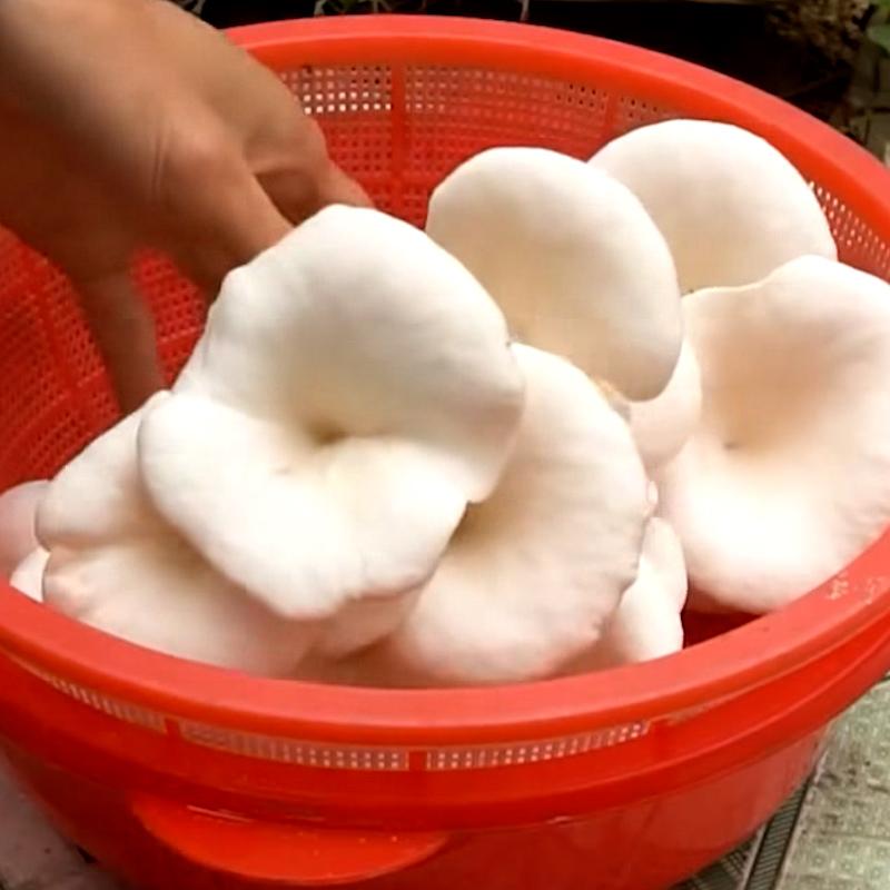 Amazing Tips for Growing Mushrooms at home  #GrowingMushrooms.00_03_36_00.Still111.jpg