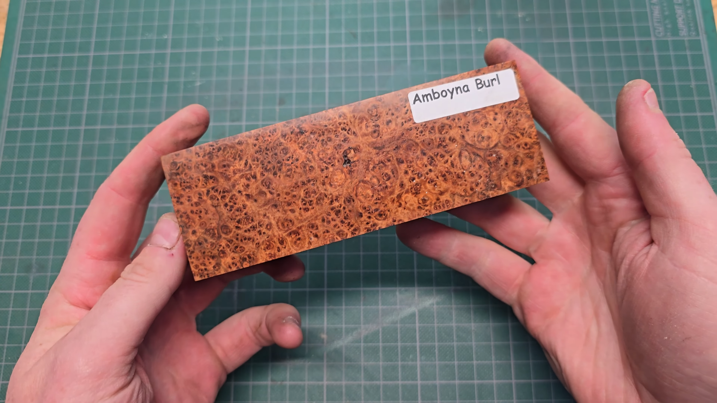 Amboyna Divot Tool Build 0-5 screenshot.png
