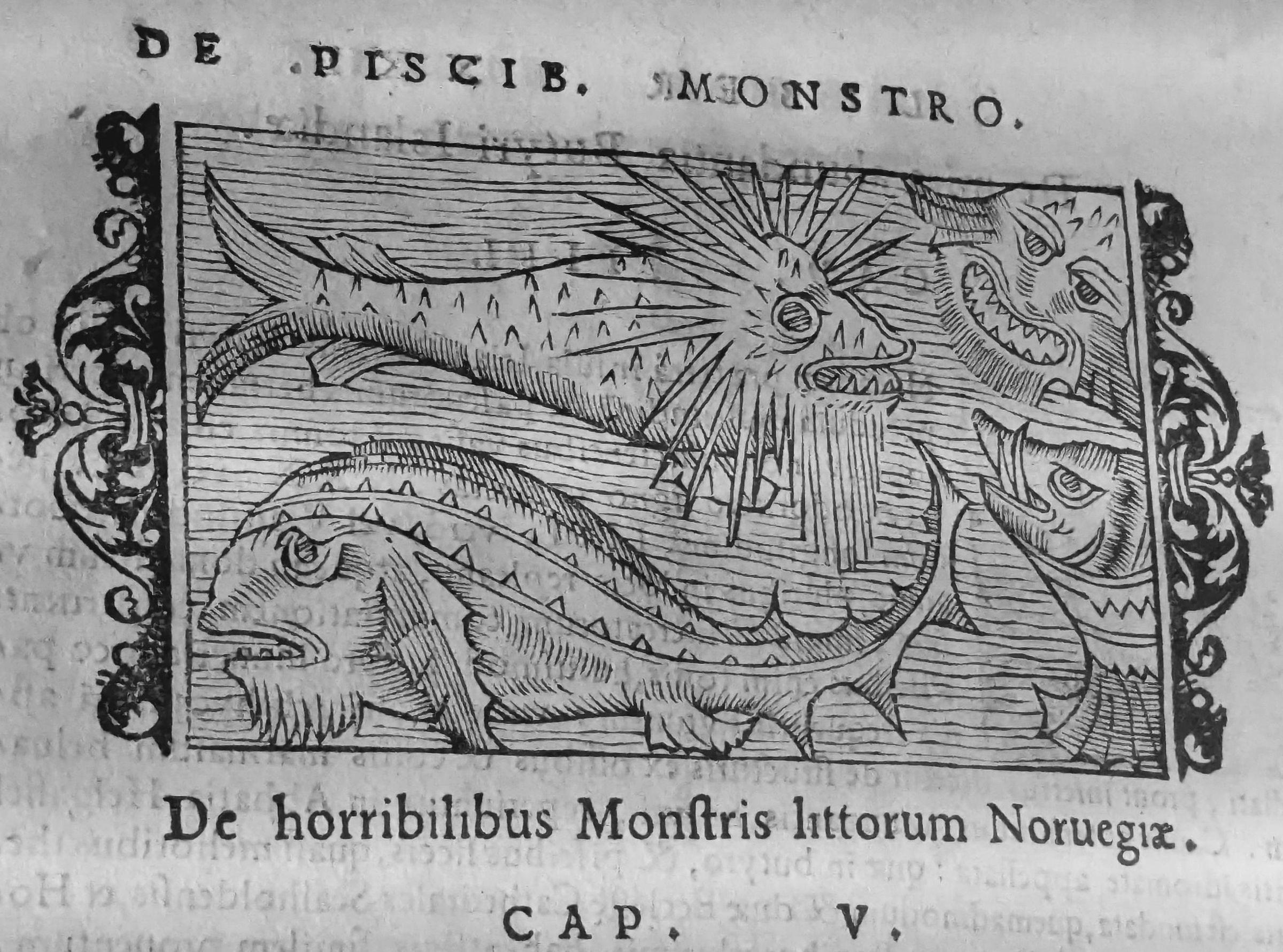 Ancien_Fish.jpg