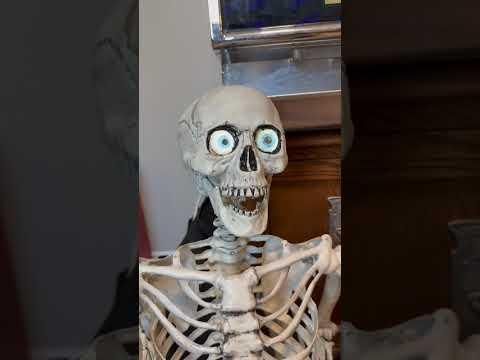Animated Skeleton