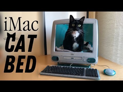 Apple iMac Cat Bed (Step-by-Step DIY Tutorial)