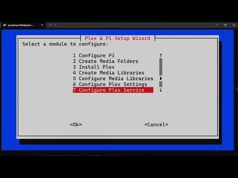 Apply System-Level Resource Limits to the Plex Service