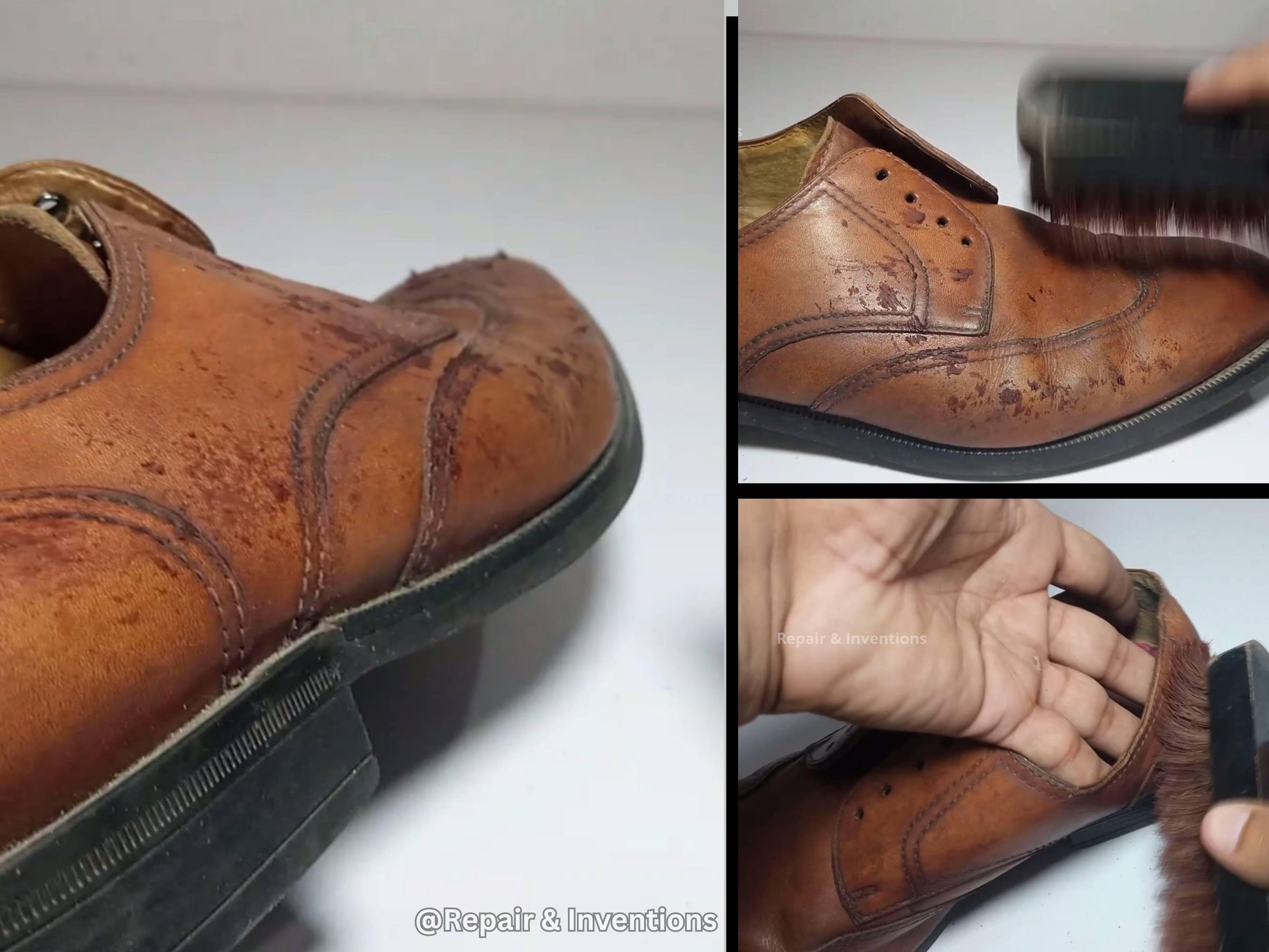 Apply the Colored Shoe Polish.jpg