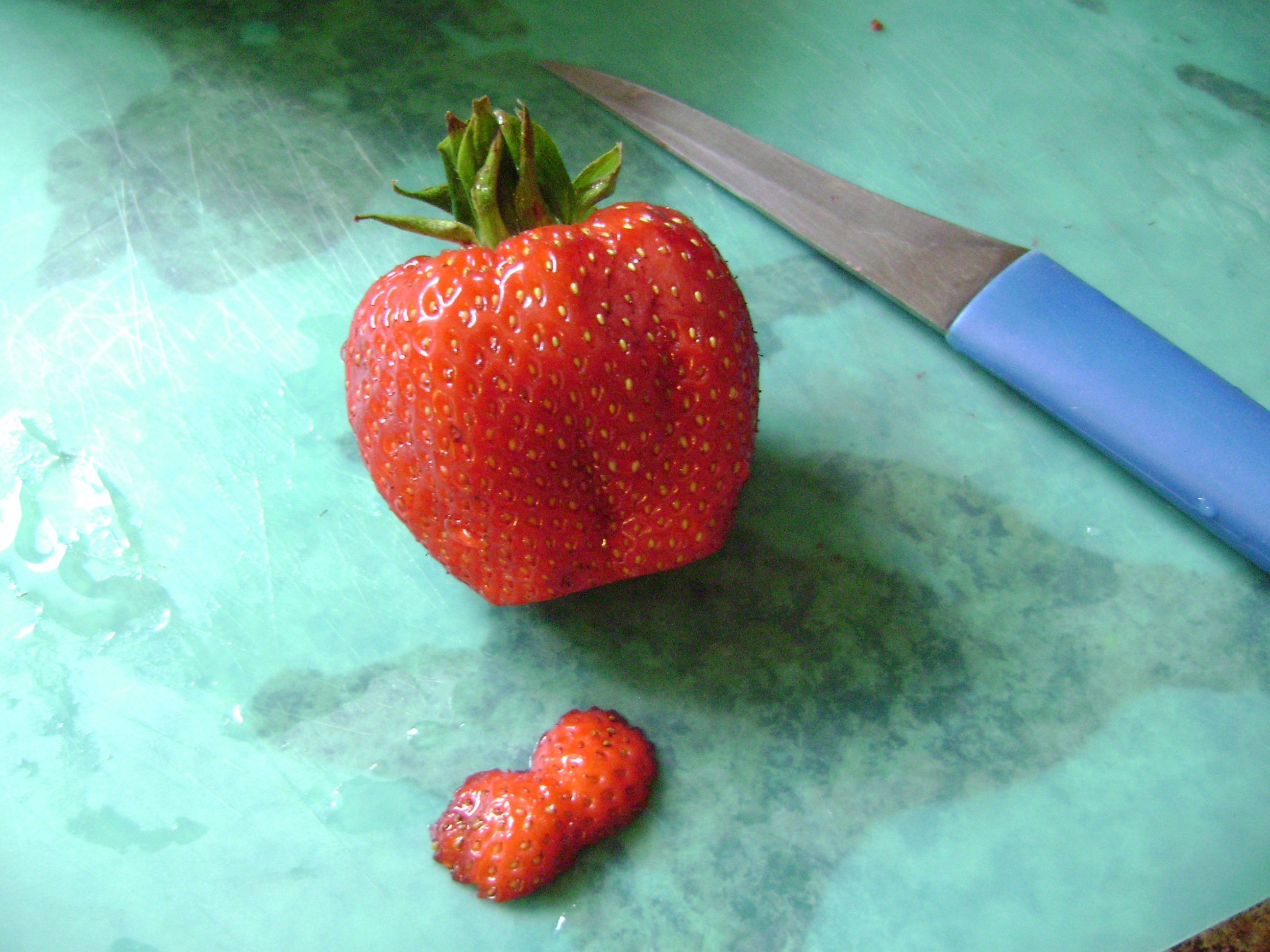 April 2011 177.JPG
