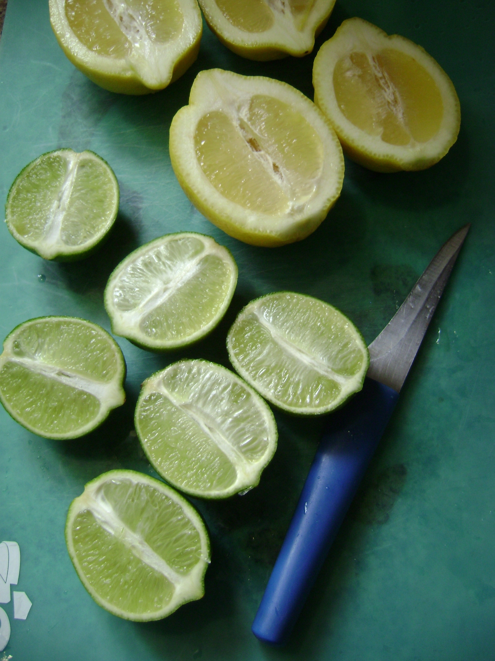 April 2011 225.JPG