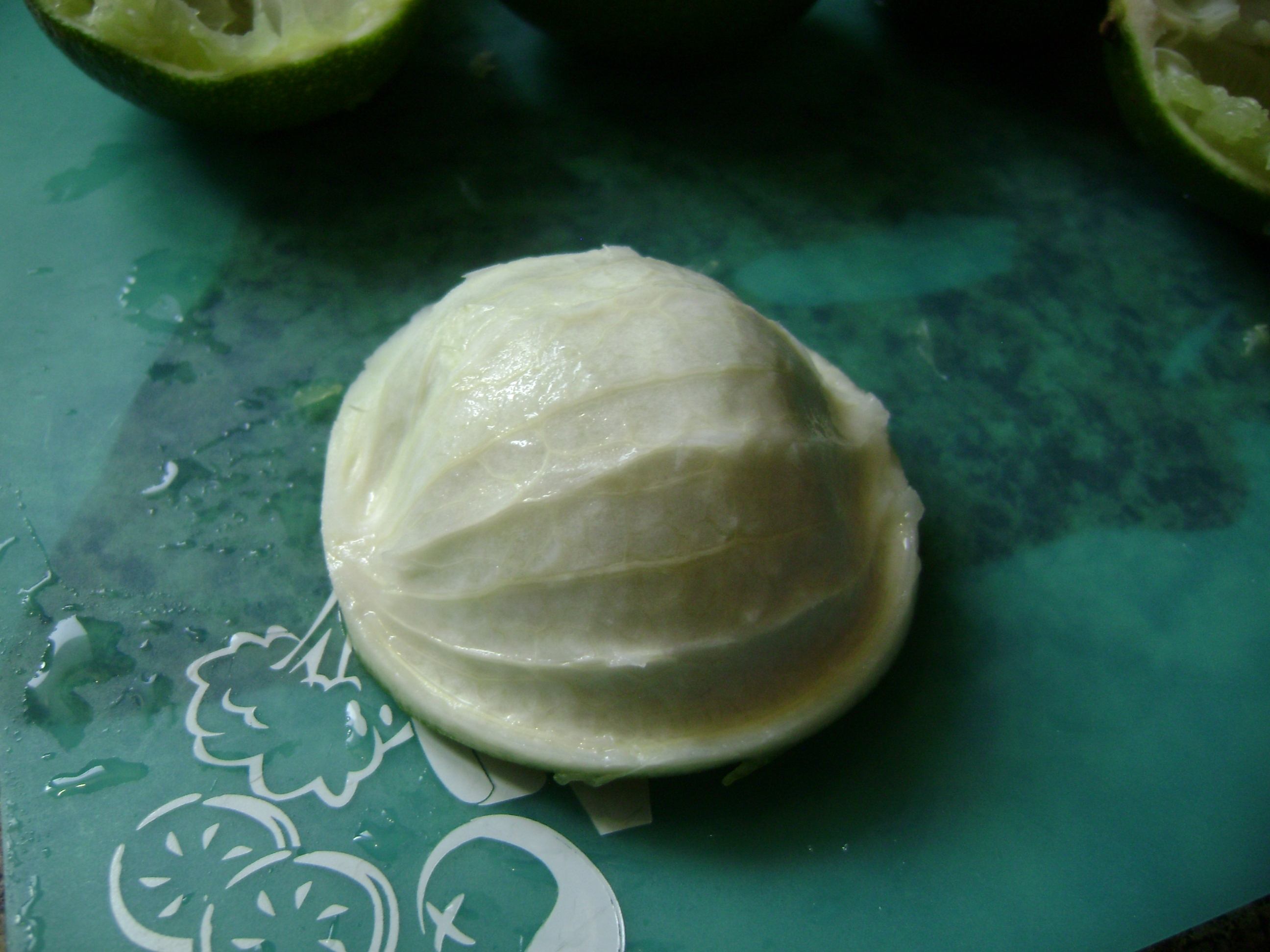April 2011 231.JPG