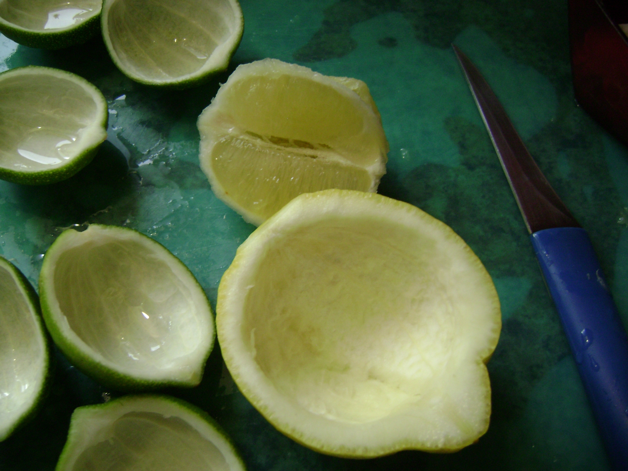 April 2011 237.JPG
