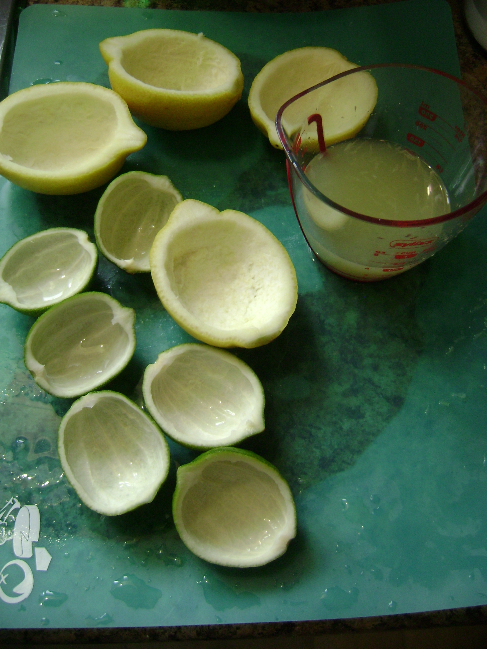 April 2011 239.JPG