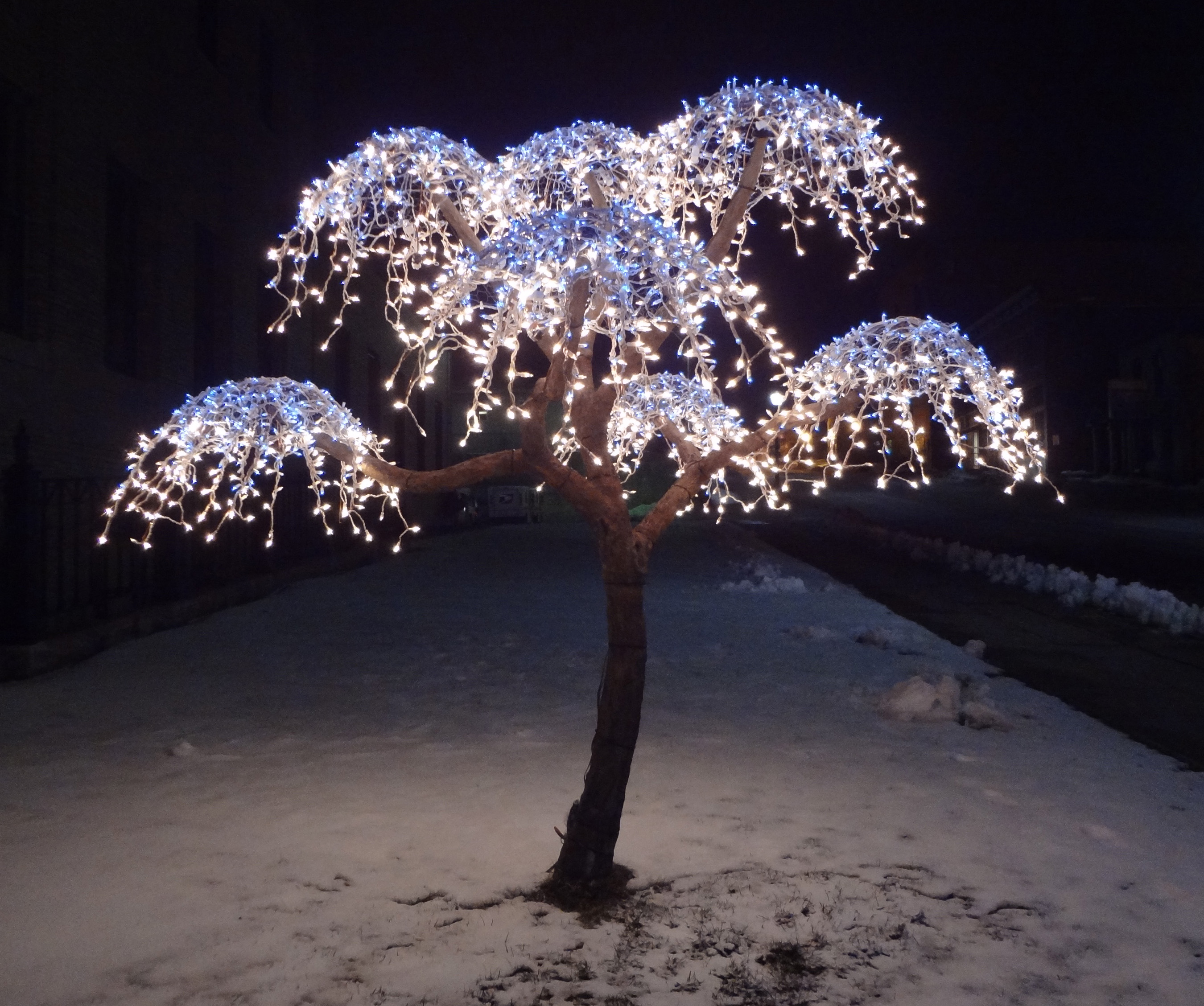 April 2016, Marquette Post Office Tree lights II.jpg