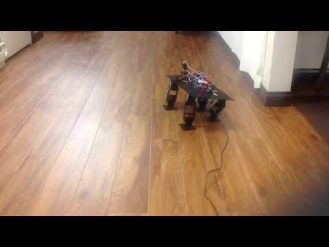 Arduino Quadruped Robot