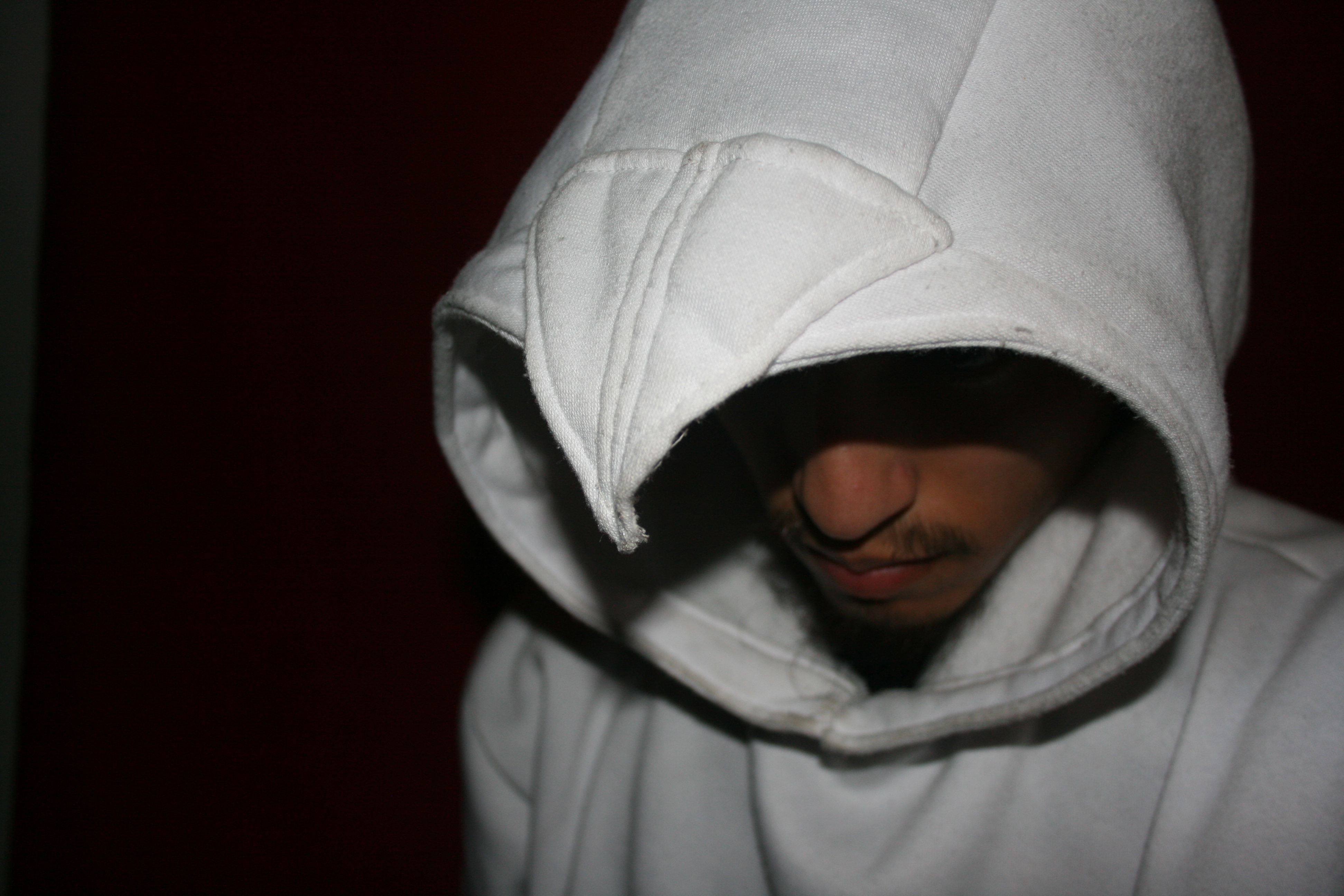 AssassinHoodie (15).JPG