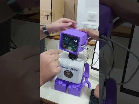 Assembling Of Mentor Mitra