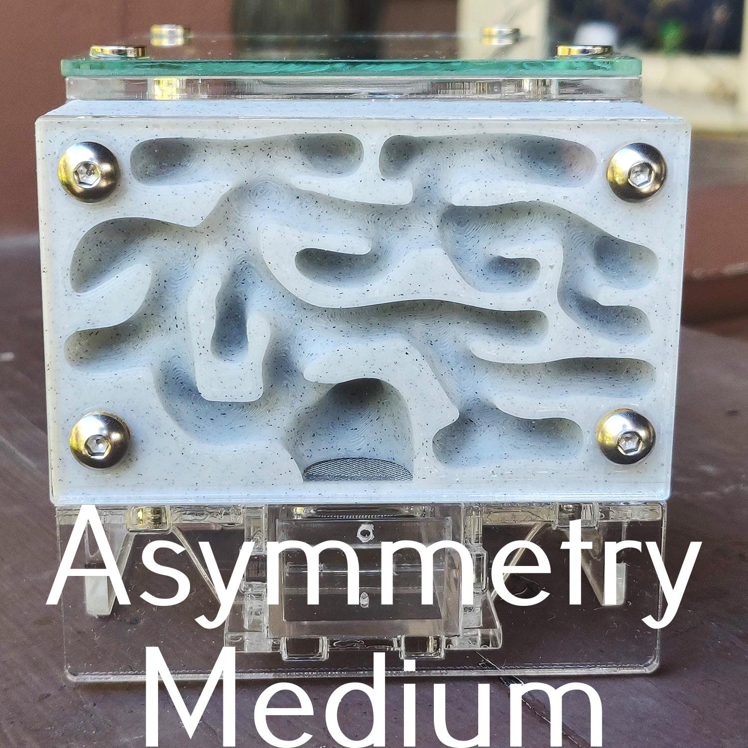 Asymmetry Medium.jpg