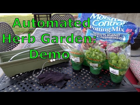 Automated Garden - Demo