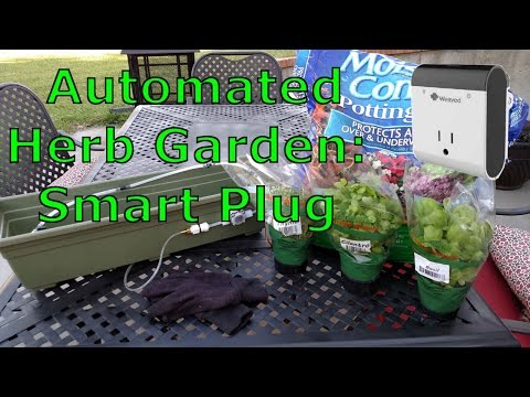 Automated Herb Garden - Smartplug