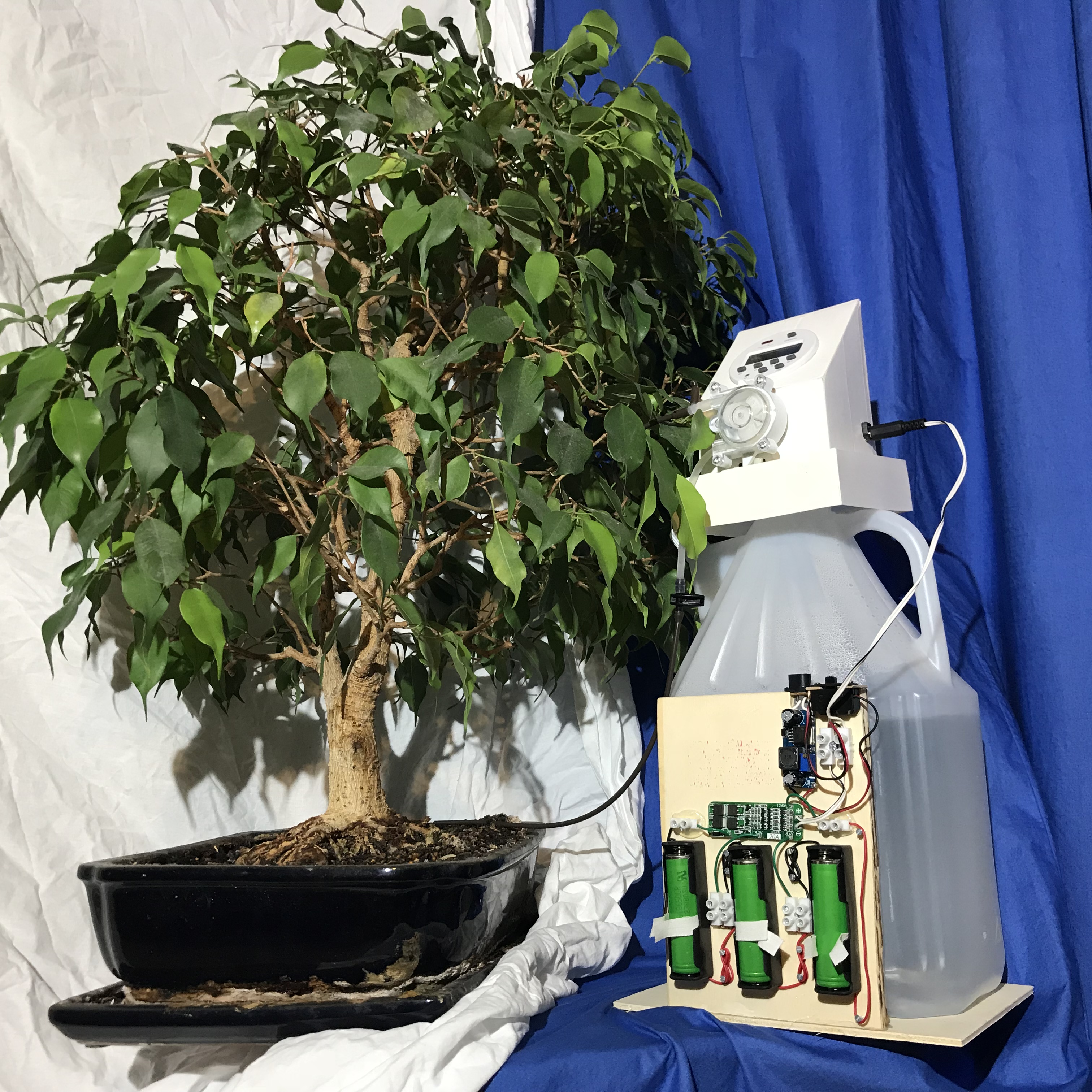 Automated_Bonsai_Watering_with_salvaged_18650_cells_04.JPG