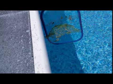 Automatic Pool Skimmer