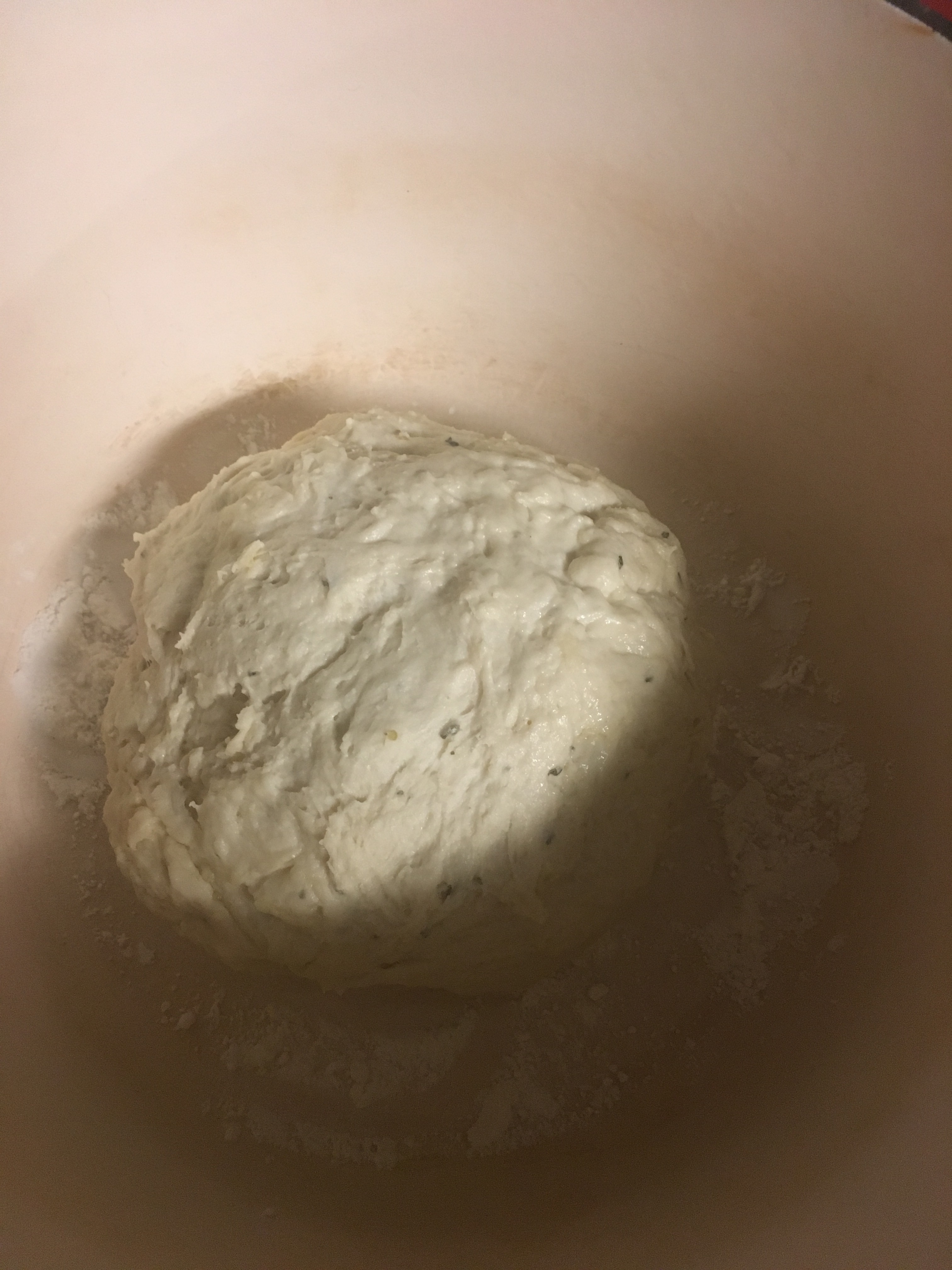 B2C8A766-567D-41F7-891A-0CFEB68AF074.jpeg