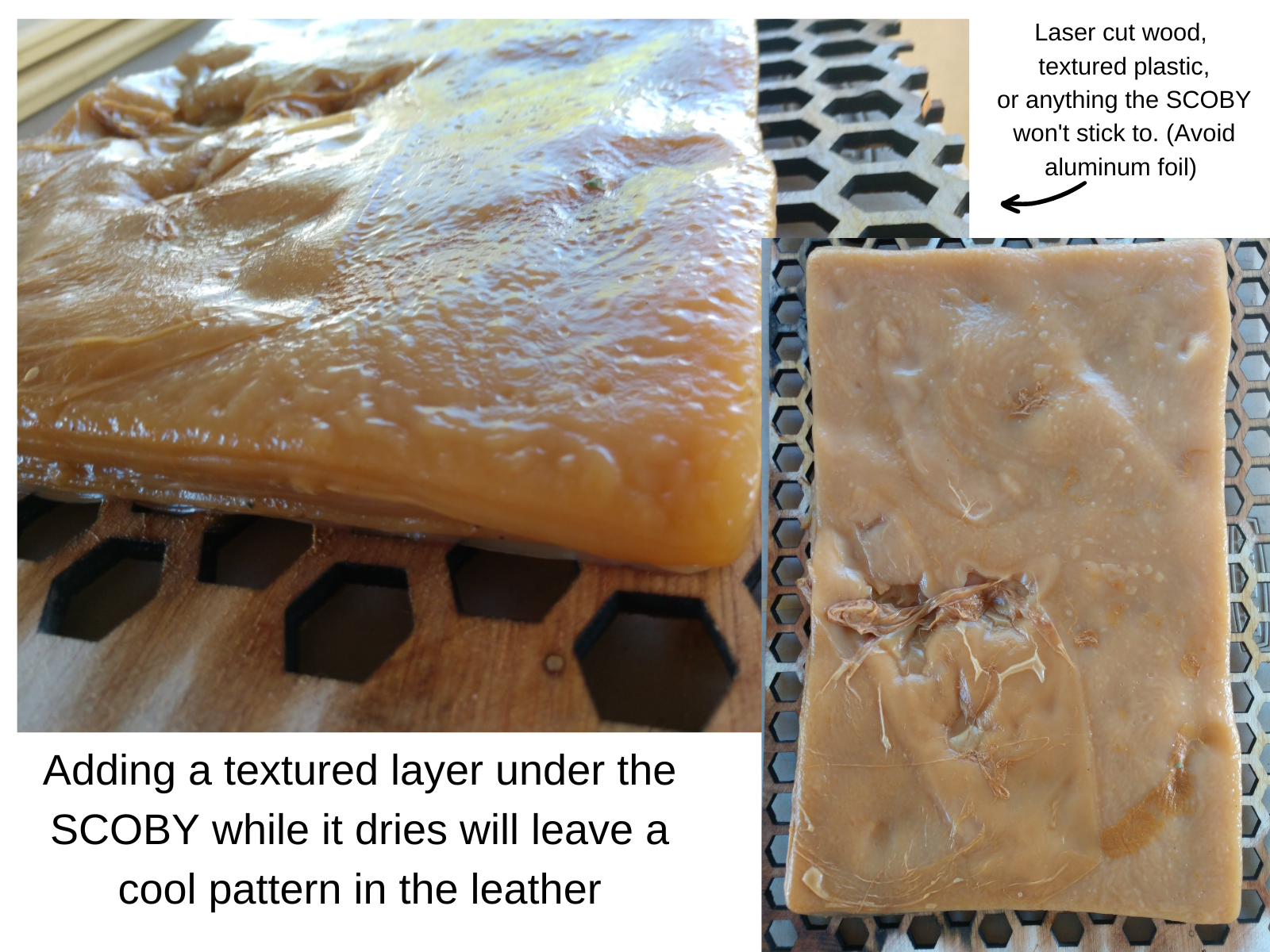 BC Kombucha Leather (2).png