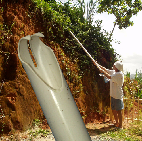 BERRY PICKER.jpg