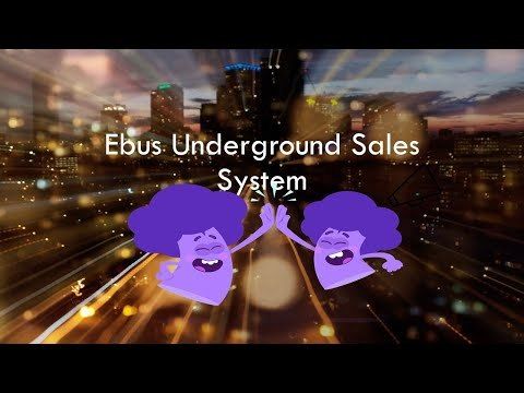 Barry Plaskow's Ebay Underground Sales System Review
