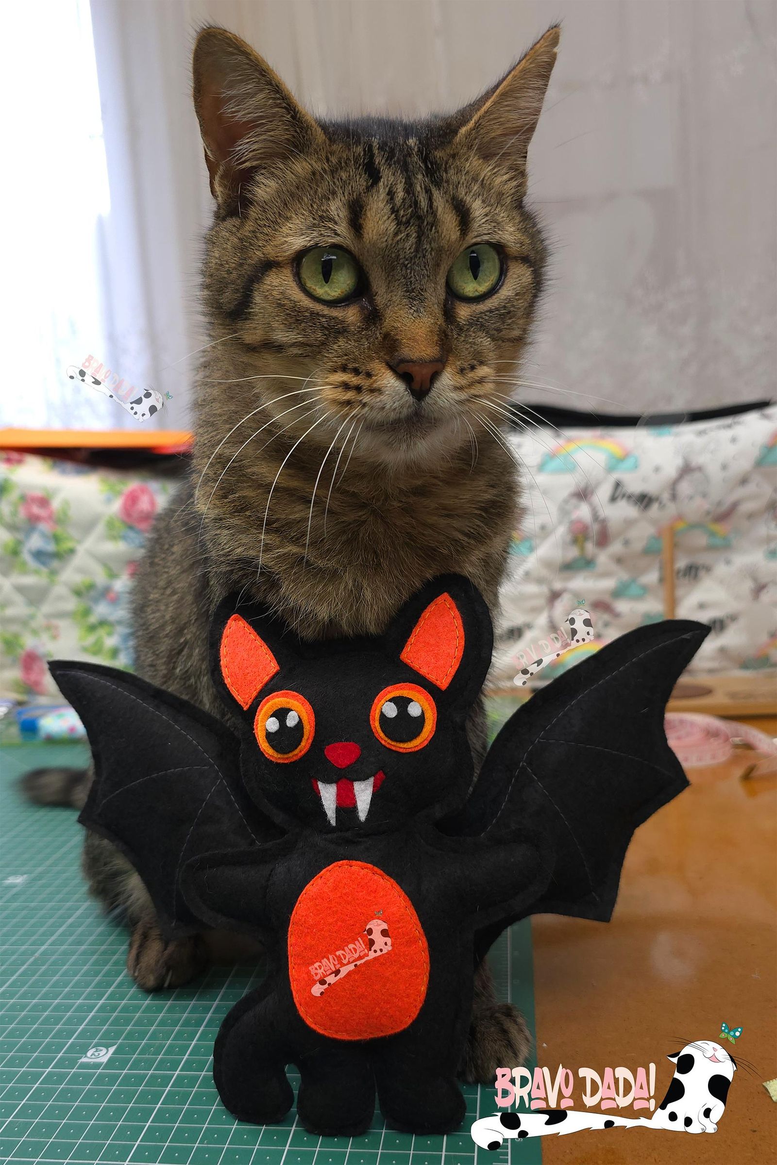 Bat Cat Halloween e Pardinho.jpg