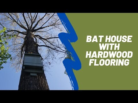 Bat House from Hardwood Flooring