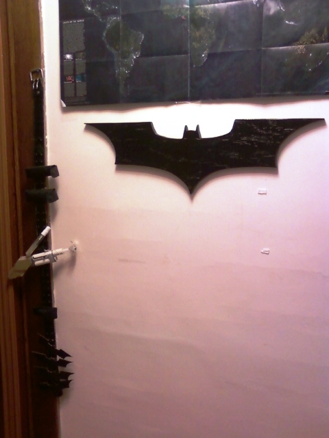 Batplaque hung.jpg