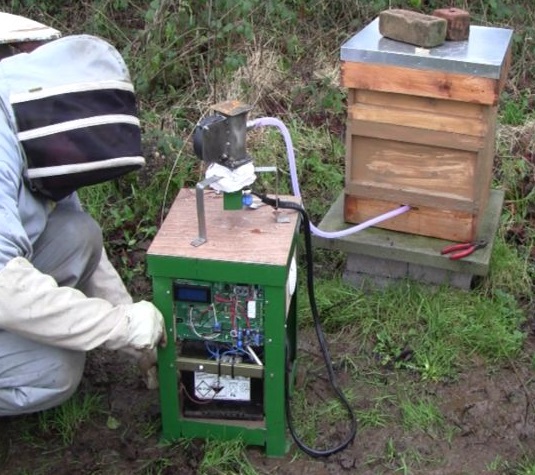 Beehive varroa treatment.jpg