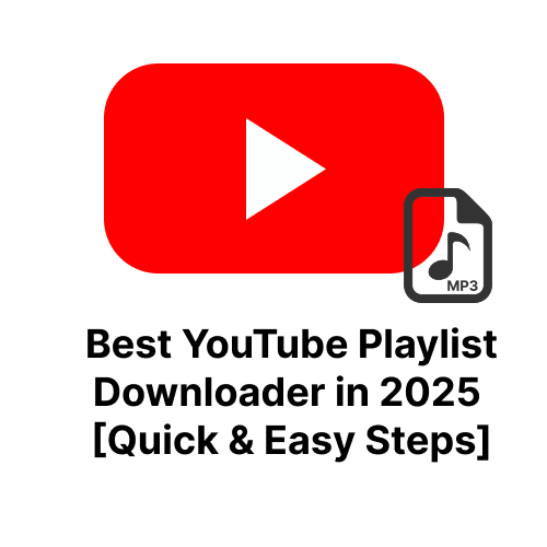Best YouTube Playlist Downloader in 2025 [Quick &amp; Easy Steps].png