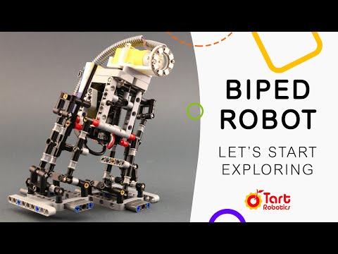 Biped Robot with Lego, Arduino and 3D Printed Part