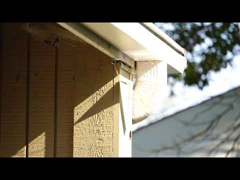 Bird Flasher Woodpecker Deterrent in Action