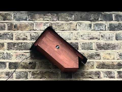 Birdbox - House Checks - 24 April