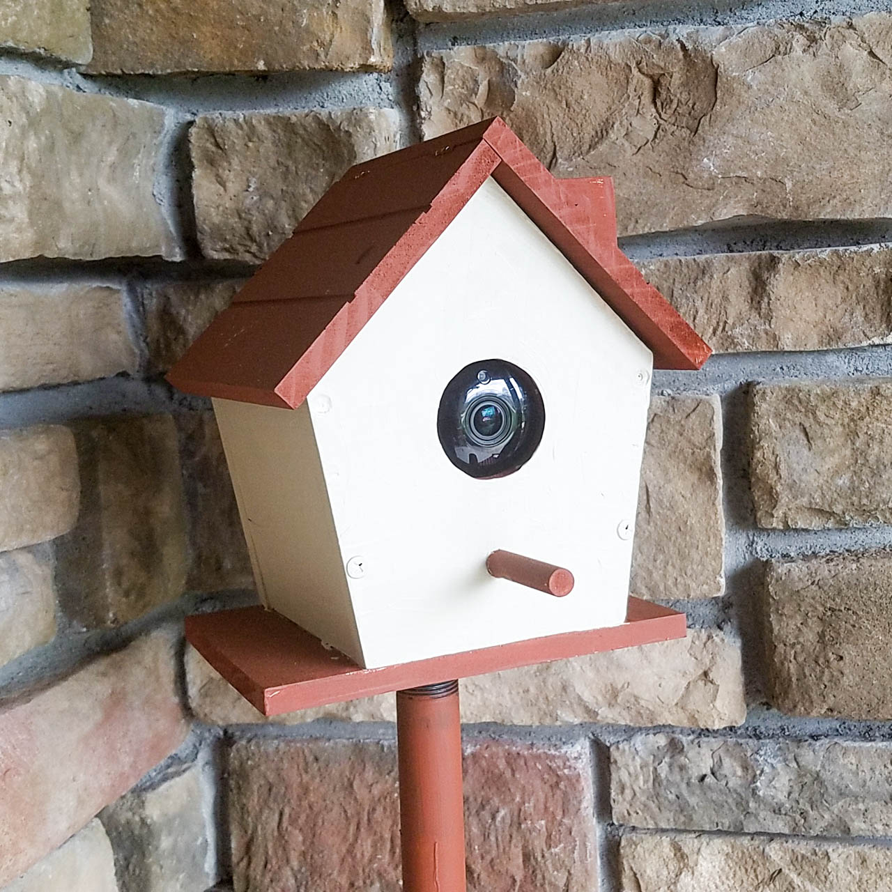 Birdhouse_Camera-13.jpg