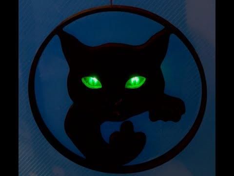 Black cat