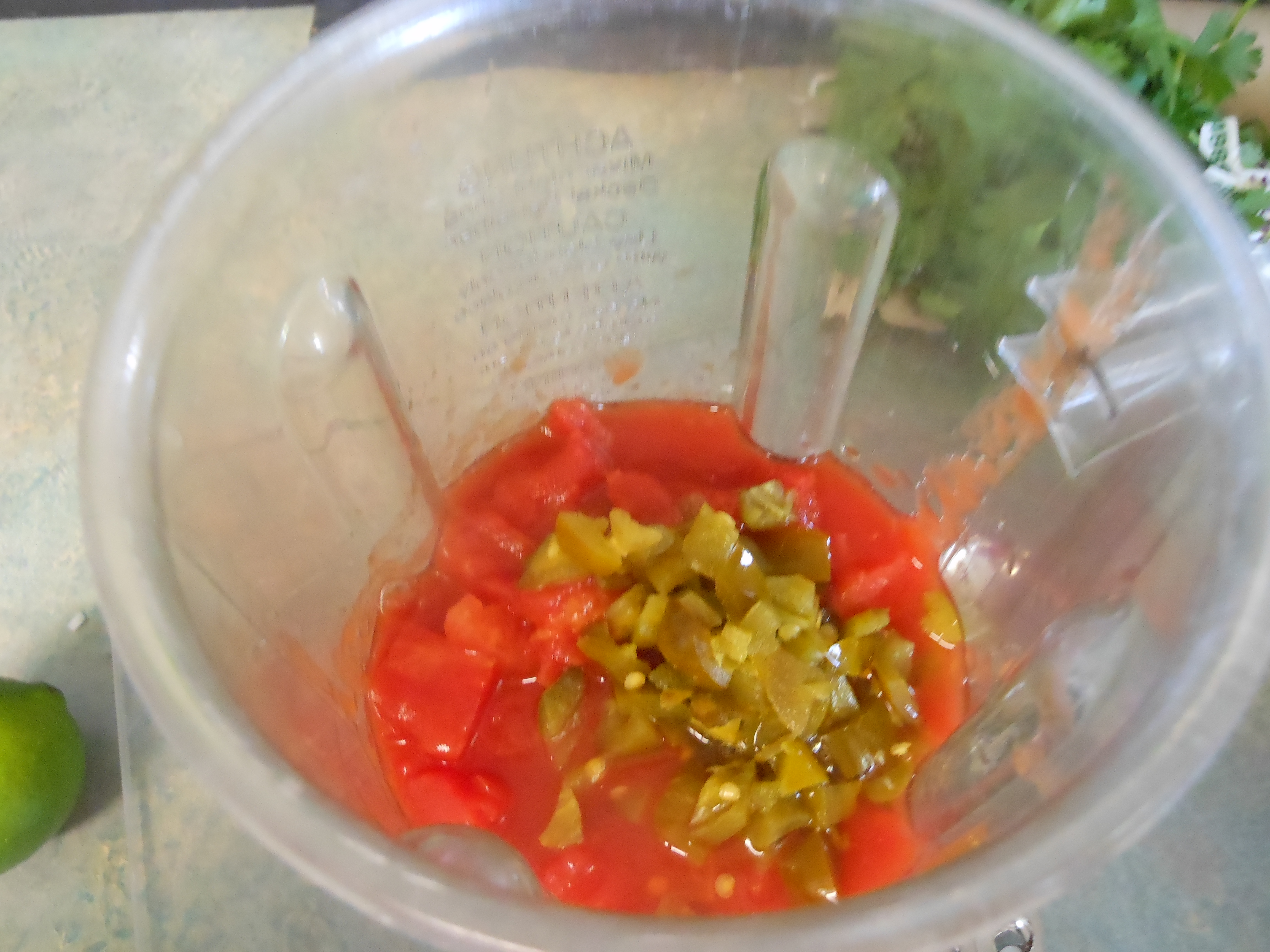 Blender Salsa 3.JPG