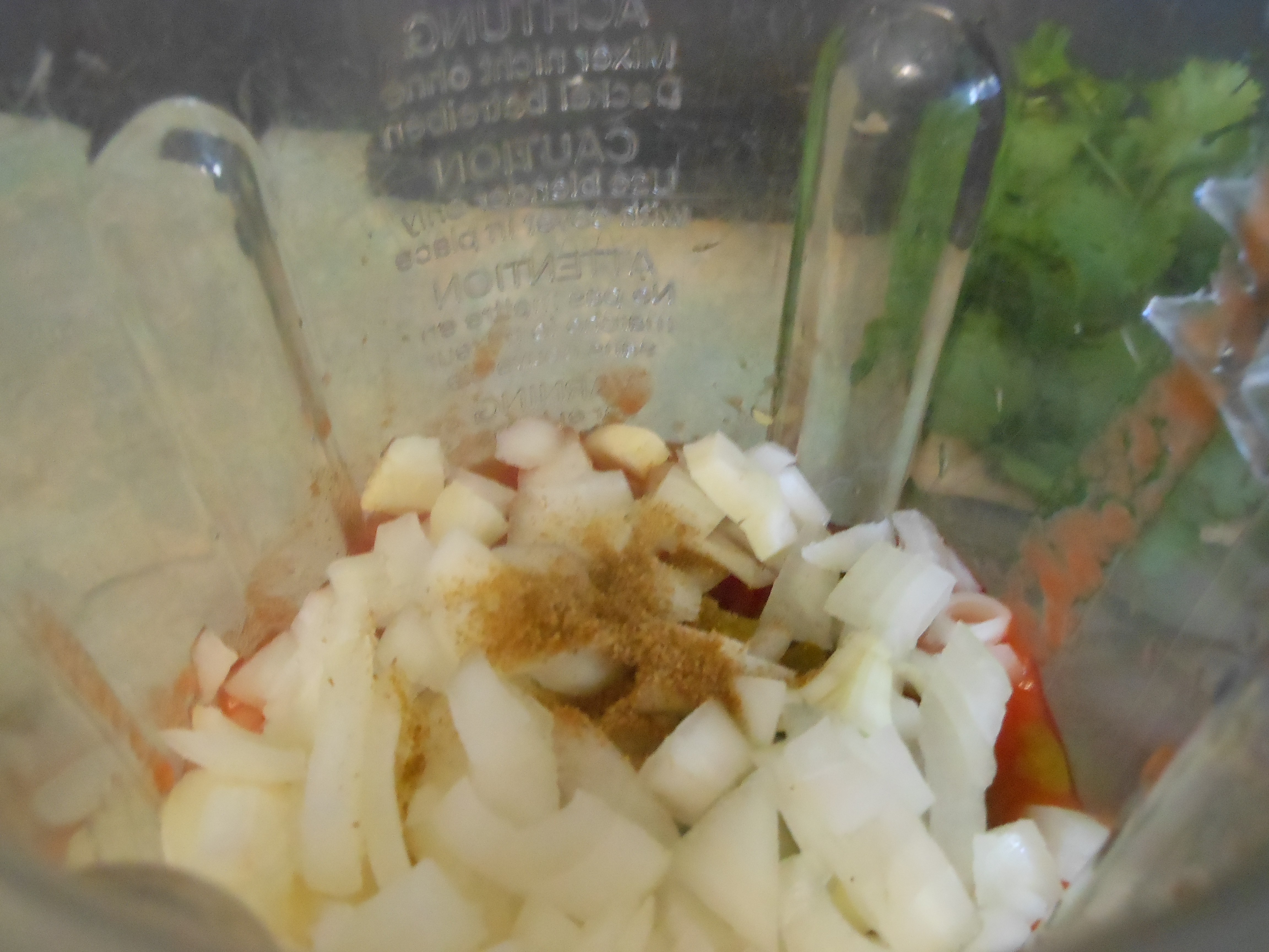 Blender Salsa 5.JPG