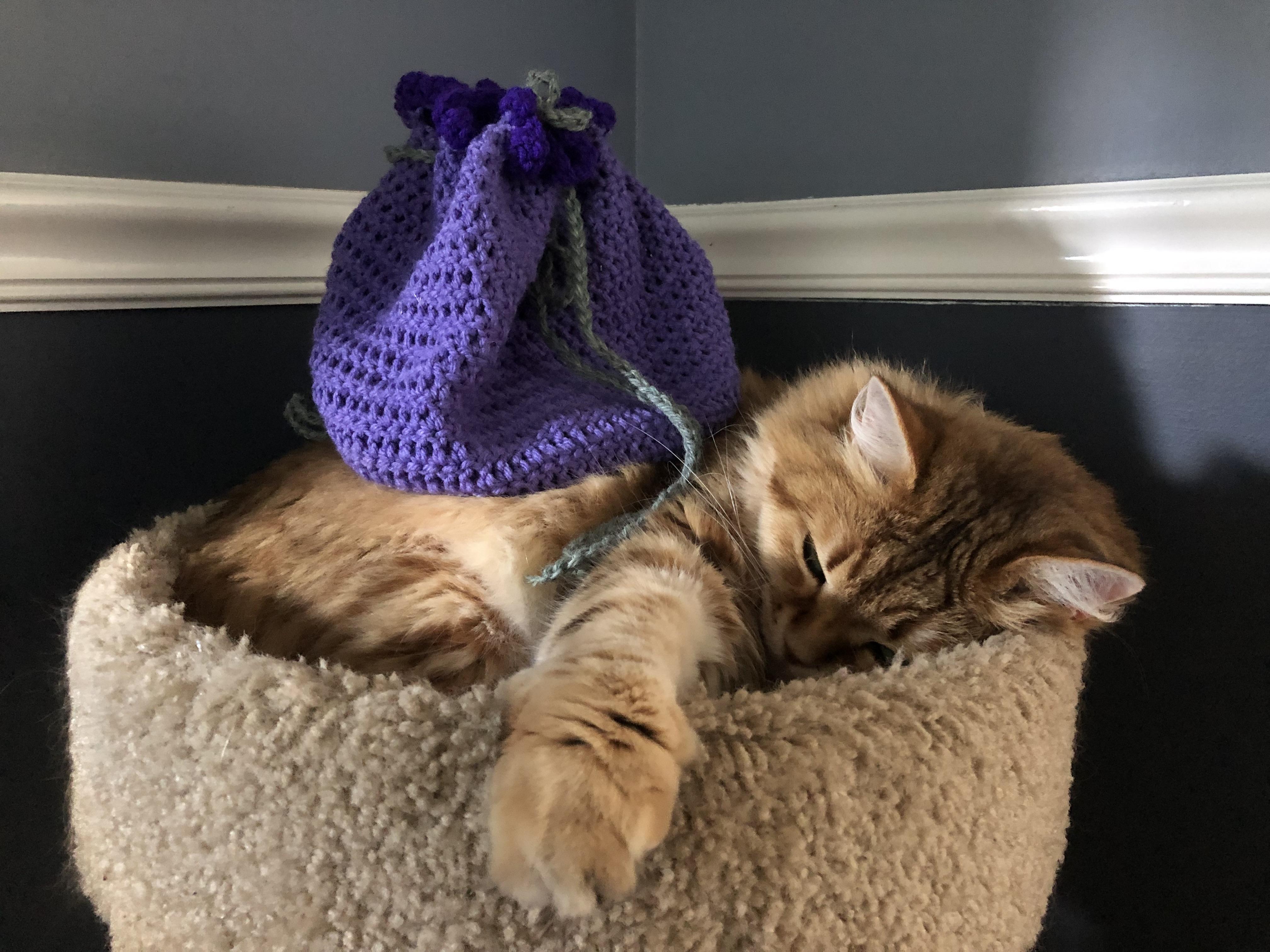 BluberrybagEmber.jpg