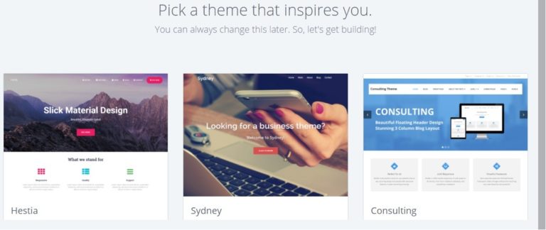 Bluehost-WordPress-select-theme-768x324.jpg