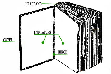 Book anatomy2.jpg