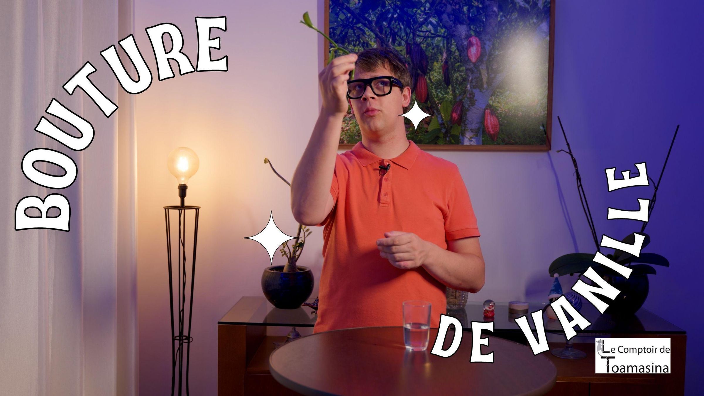 Bouture de vanille dans l'eau - Comment planter un vanillier &agrave; sa maison et devenir producteur.jpg