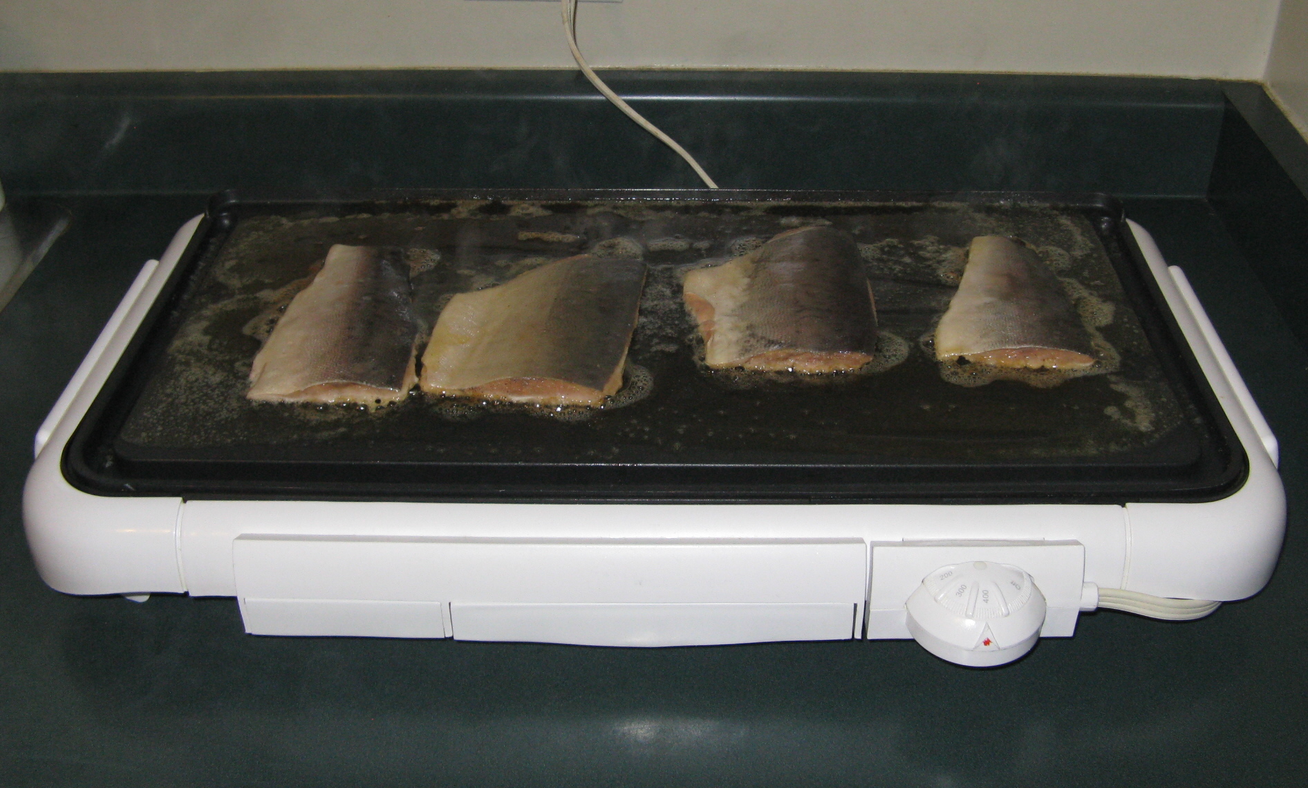 Brazed Salmon or Trout 11.jpg